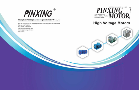 Hochspannungsmotorkatalog